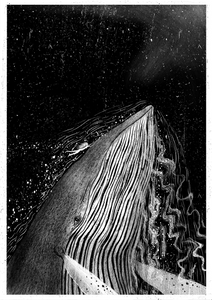 Midnight Skinny Dipper A4 Artwork by Jago Silver
